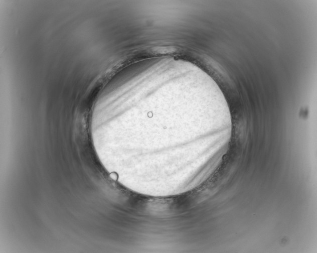 X0000090480373200708102202