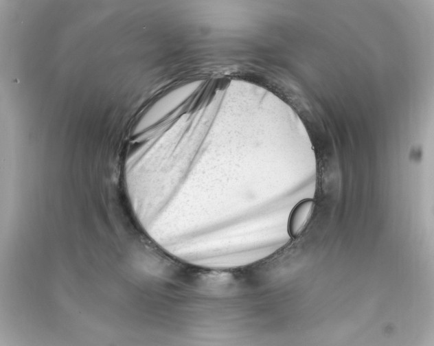 X0000090480374200708102202