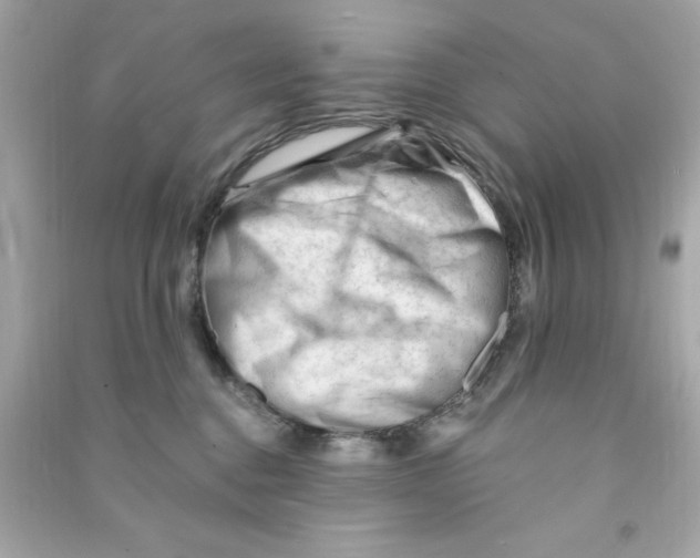 X0000090480376200708102202