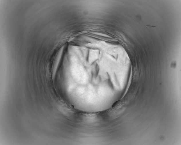X0000090480377200708102202