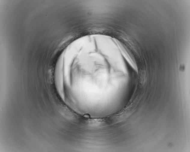 X0000090480378200708102202