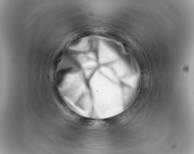 X0000090480379200708102202