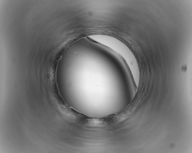 X0000090480380200708102202