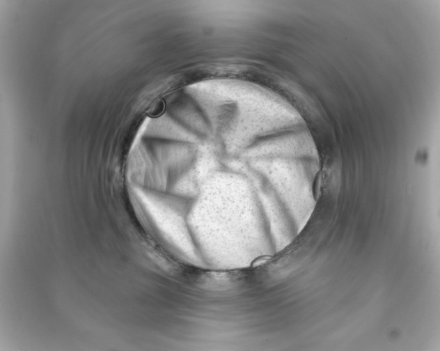 X0000090480381200708102202