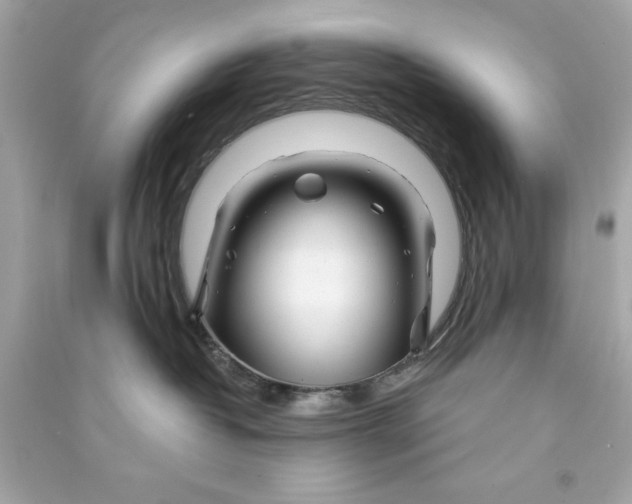 X0000090480382200708102202