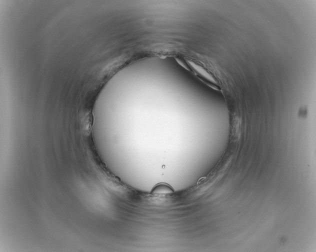 X0000090480383200708102202