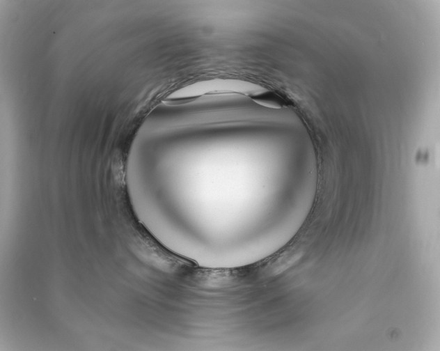 X0000090480384200708102202
