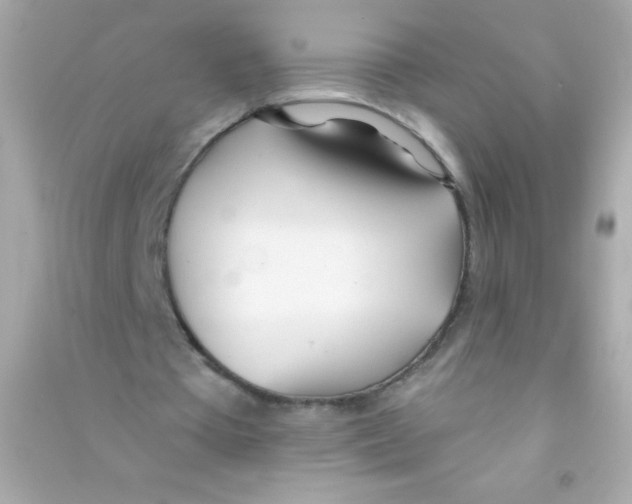 X0000090480385200708102202