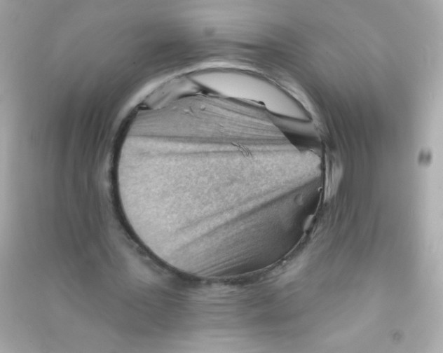 X0000090480387200708102201