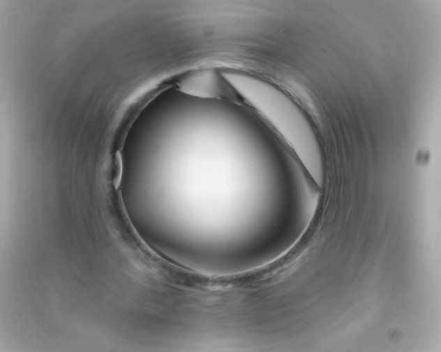 X0000090480388200708102201