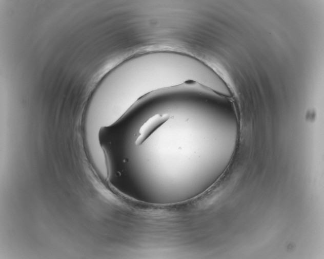 X0000090480389200708102201