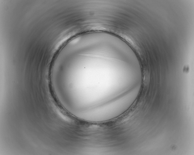 X0000090480390200708102201