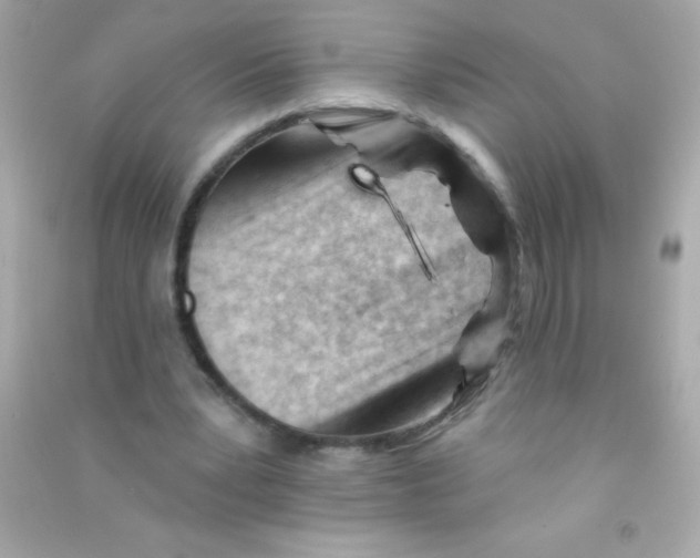 X0000090480391200708102201