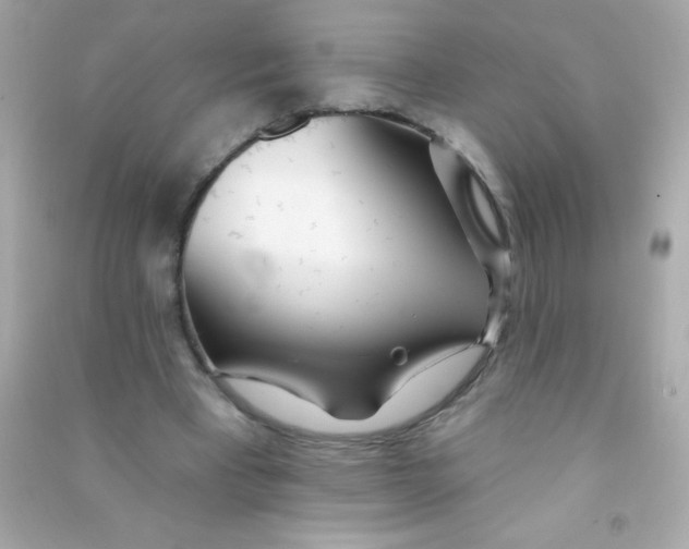 X0000090480393200708102201