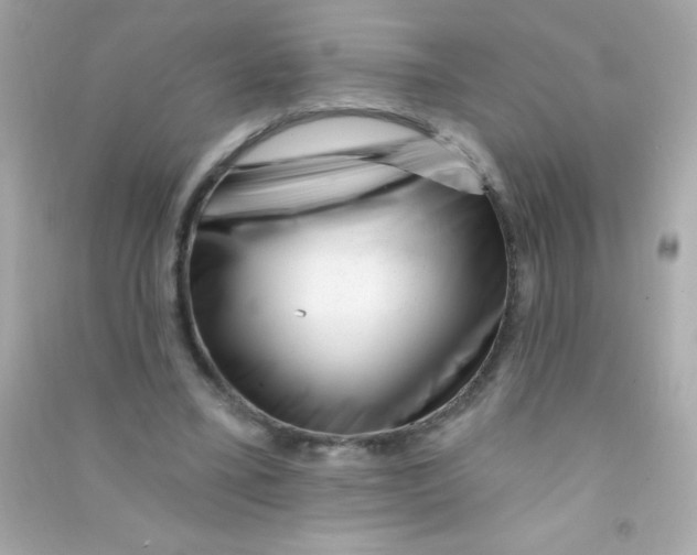 X0000090480395200708102201