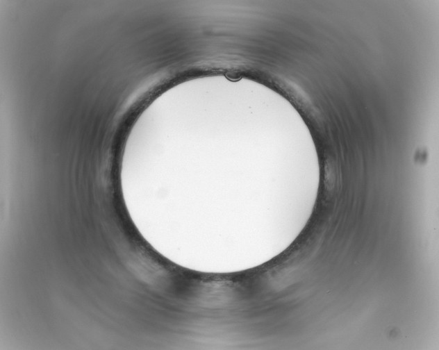X0000090480396200708102201