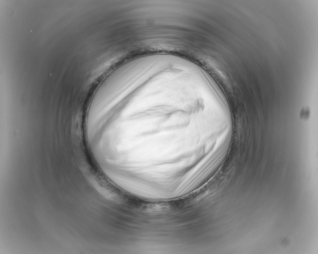 X0000090480398200708102201