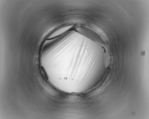 X0000090480399200708102201