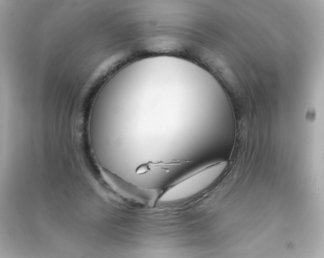 X0000090480400200708102201