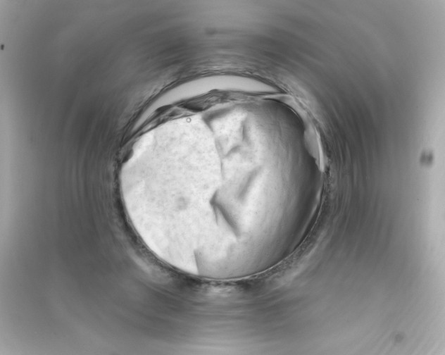 X0000090480401200708102201
