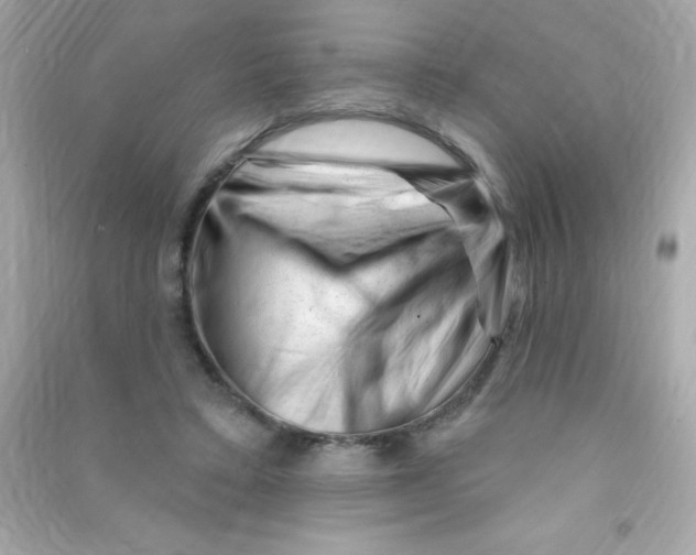 X0000090480403200708102201