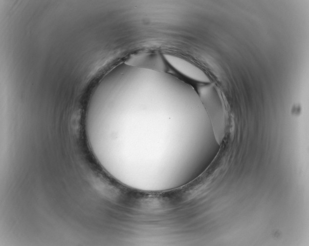 X0000090480404200708102201