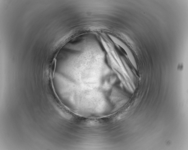 X0000090480405200708102201