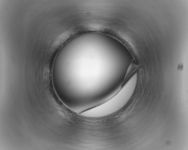 X0000090480407200708102201