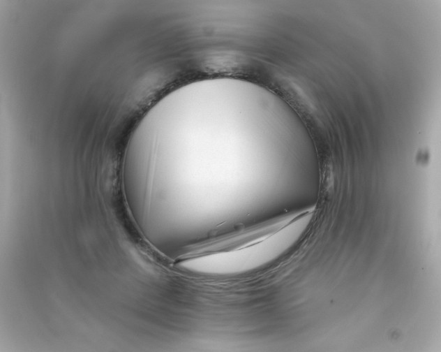 X0000090480408200708102201