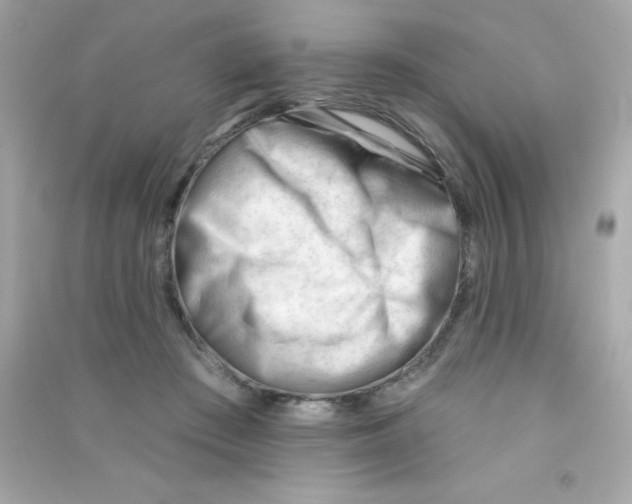 X0000090480409200708102201