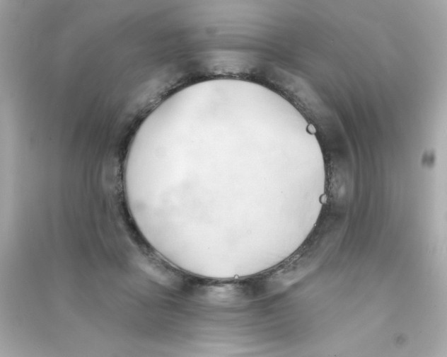 X0000090480411200708102201