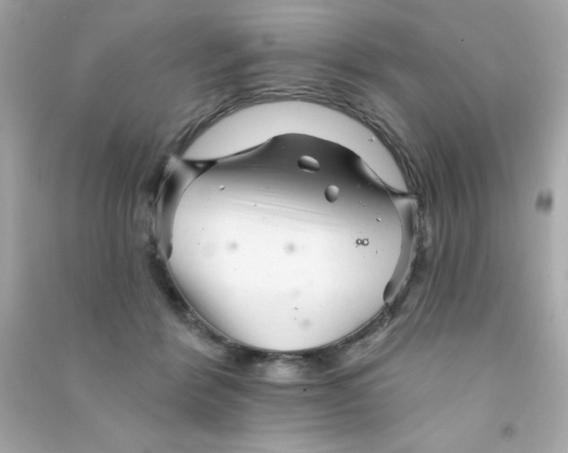 X0000090480412200708102201