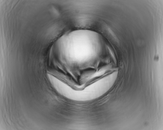 X0000090480416200708102201