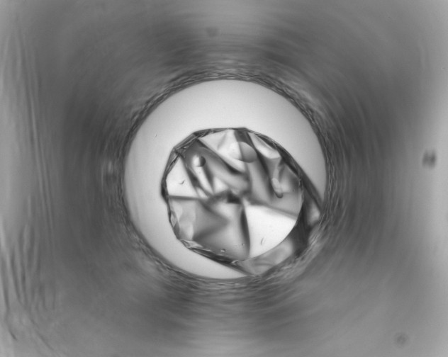 X0000090480417200708102201