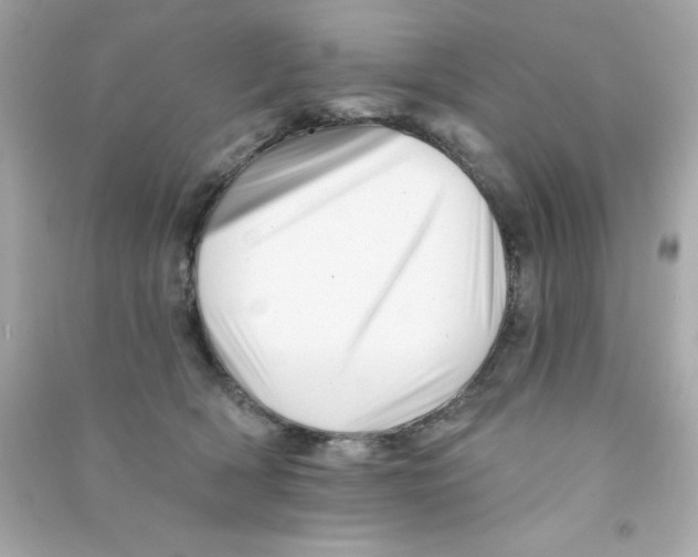 X0000090480418200708102201
