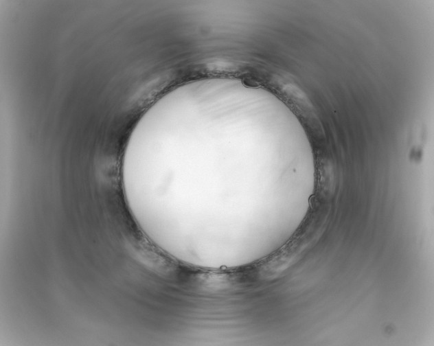 X0000090480419200708102201