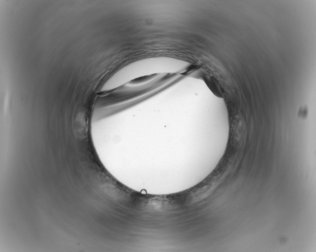 X0000090480420200708102201