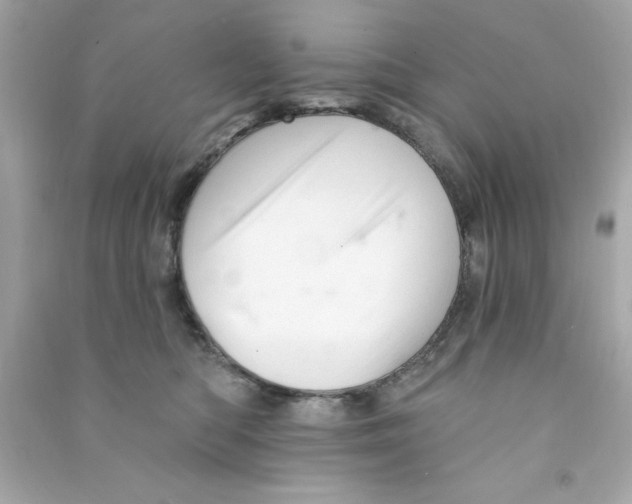 X0000090480422200708102201