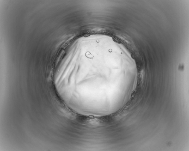 X0000090480423200708102201