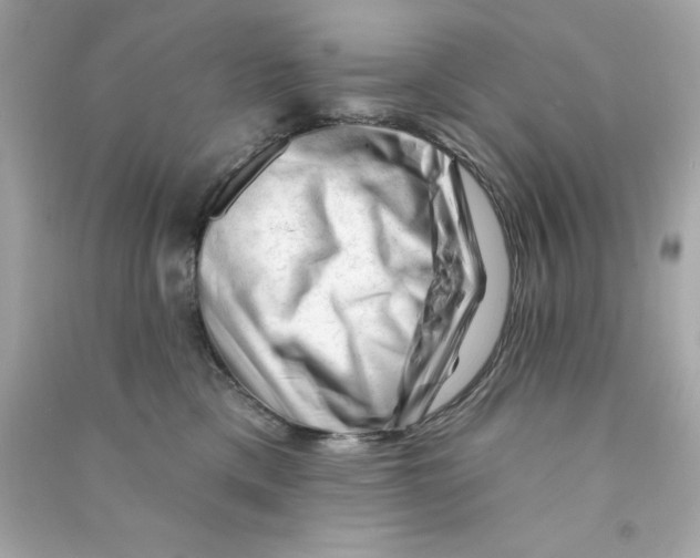 X0000090480425200708102201