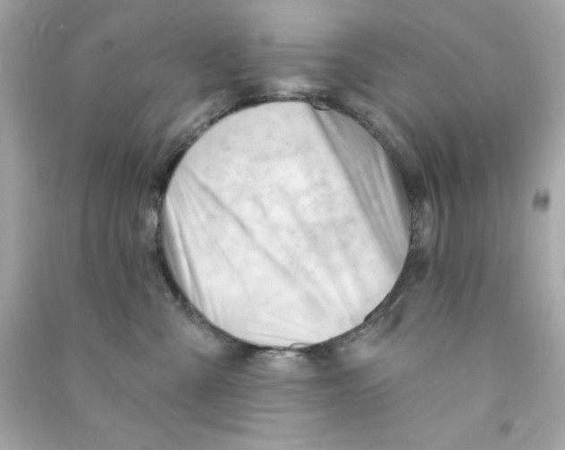 X0000090480427200708102201