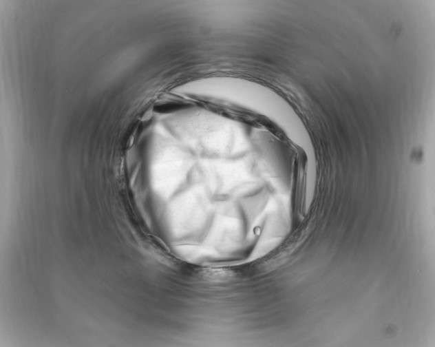 X0000090480429200708102201