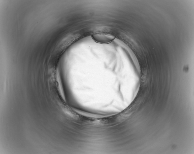 X0000090480430200708102201