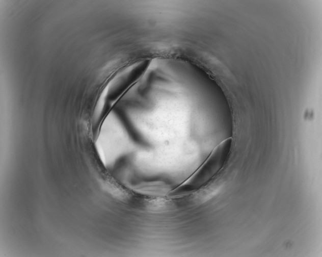X0000090480432200708102201