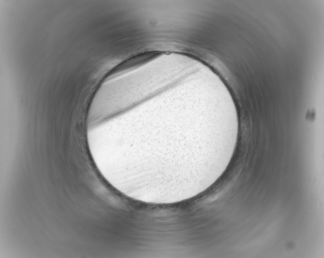 X0000090480433200708102200
