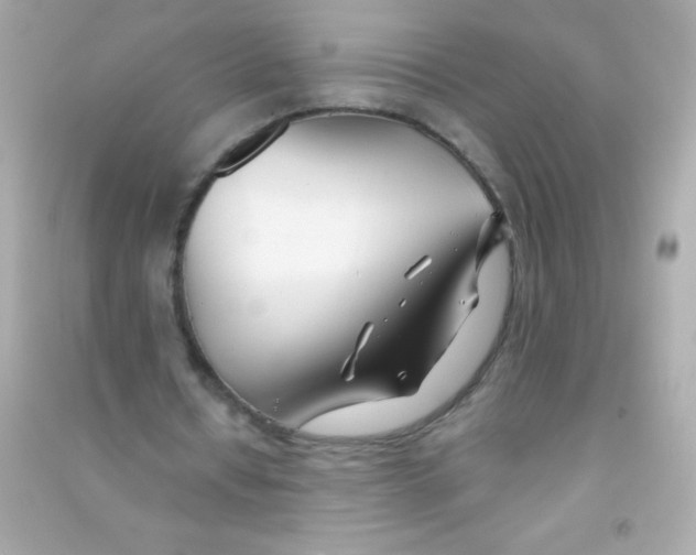 X0000090480434200708102200