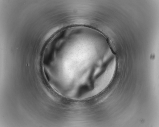 X0000090480436200708102200