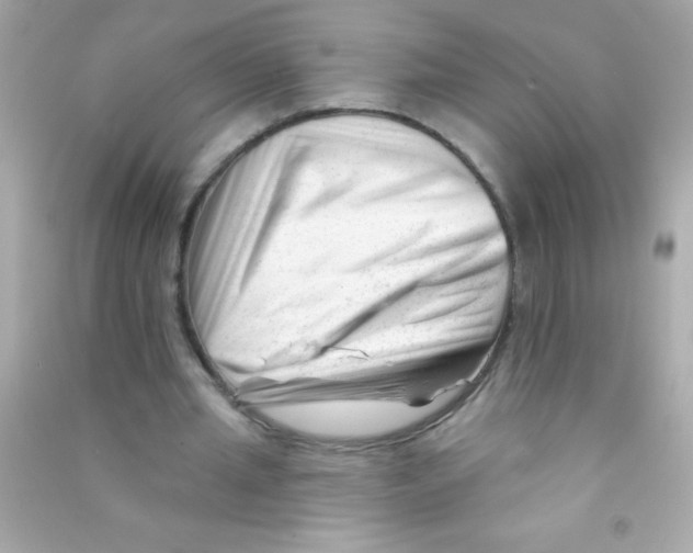 X0000090480437200708102200