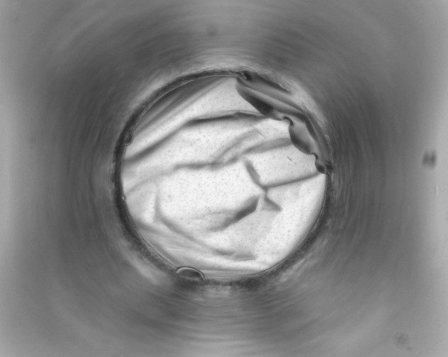 X0000090480439200708102200