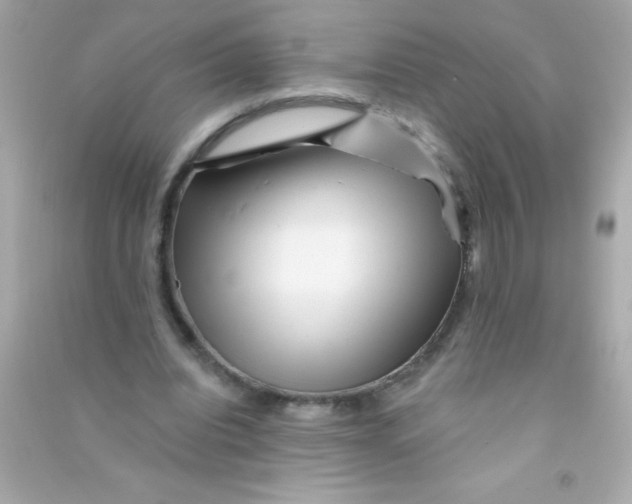 X0000090480440200708102200